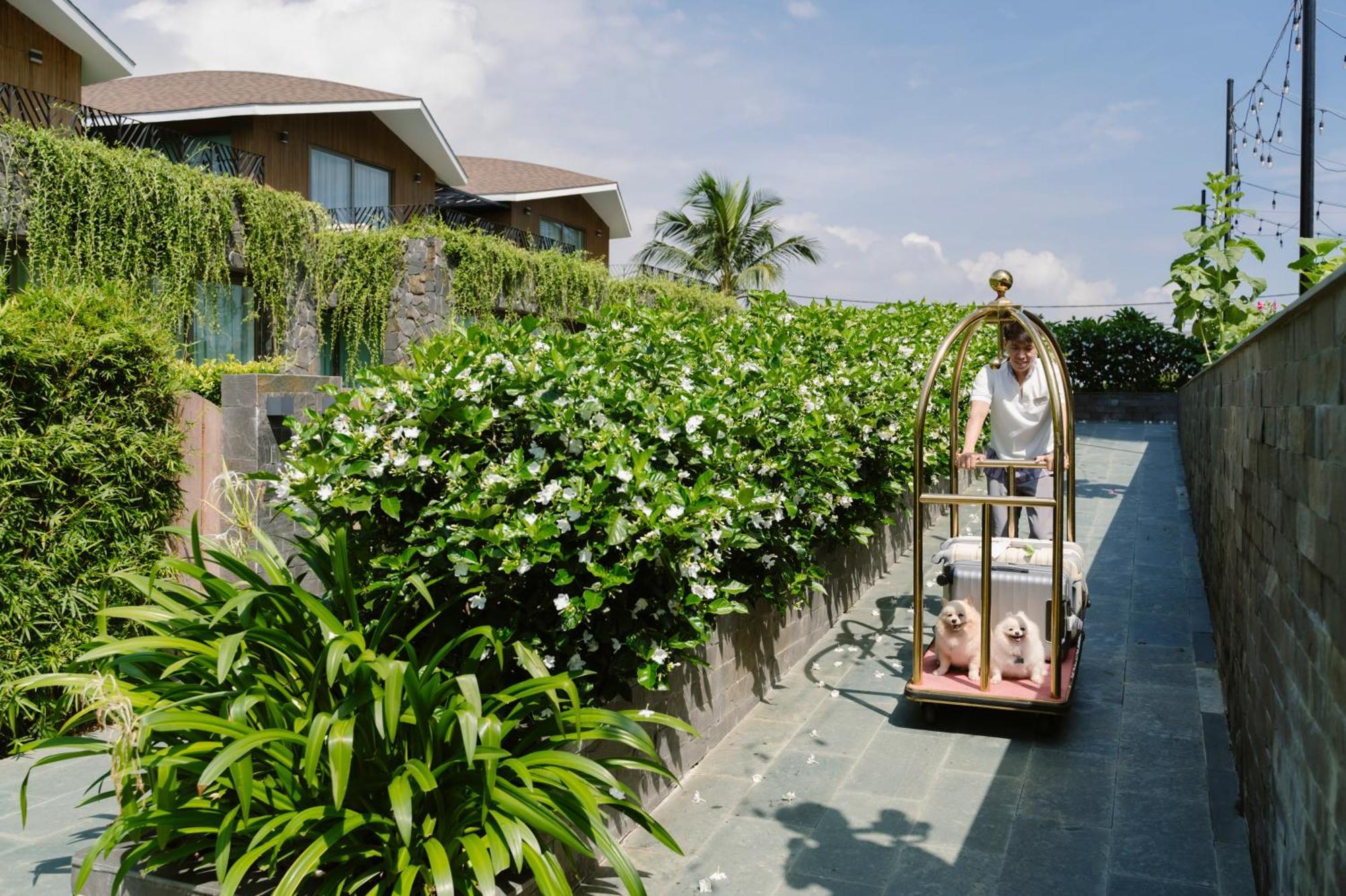 Bellerive Hoi An Resort And Spa Экстерьер фото